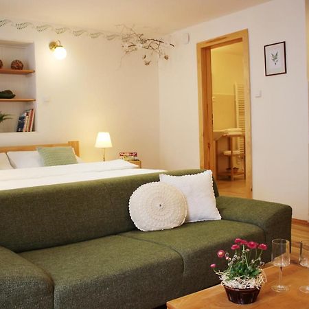 Apartmany Domestika Чеський Крумлов Екстер'єр фото